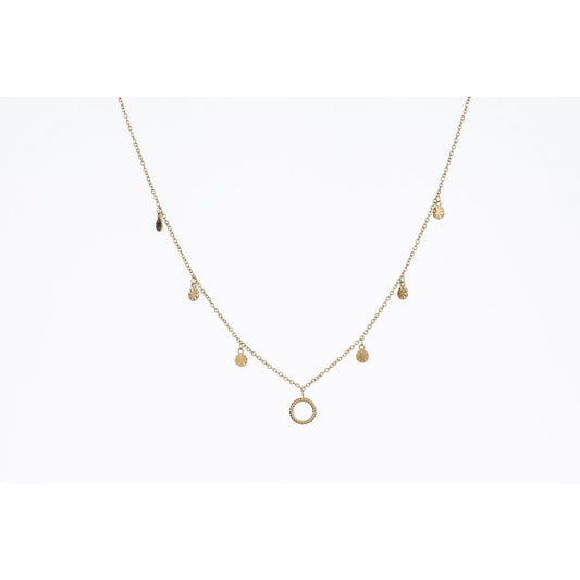 Ketting stainless steel GOUD - N80022110399